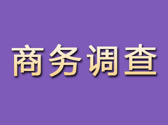 锡林浩特商务调查